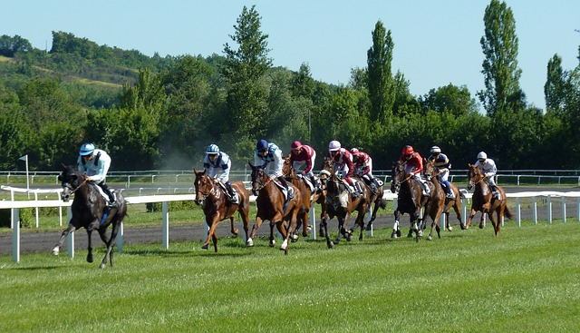 Le grand prix du QUINTE PMU au quatre du monde