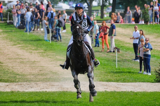 Embarquez dans une aventure galactique equestre : le sport artistique de l’exploration des frontieres cosmiques